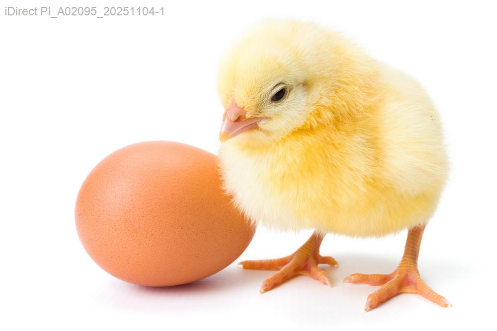 「寵物主必見！台灣毛孩清潔保養產品大比拼，找出最適合你的選擇」